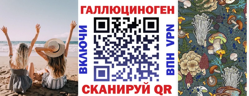 Псилоцибиновые грибы ЛСД дарнет шоп Суздаль
